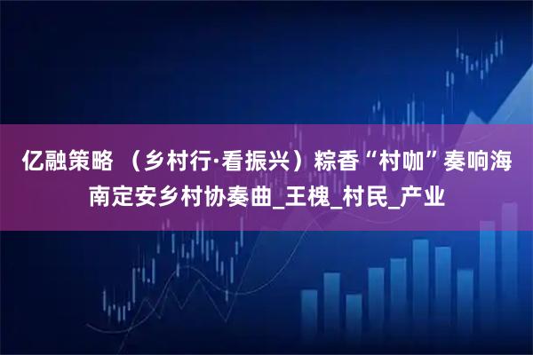 亿融策略 （乡村行·看振兴）粽香“村咖”奏响海南定安乡村协奏曲_王槐_村民_产业